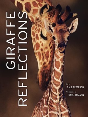 cover image of Giraffe Reflections